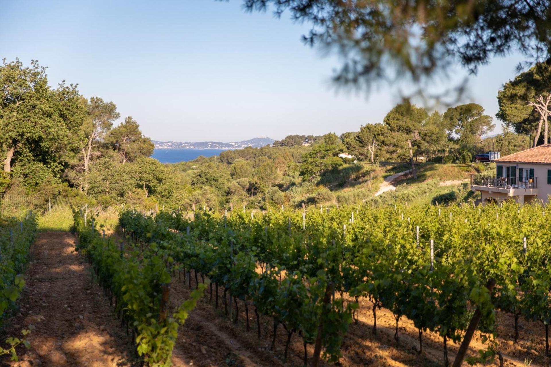 فيلا Domaine De La Navicelle لو براديت المظهر الخارجي الصورة