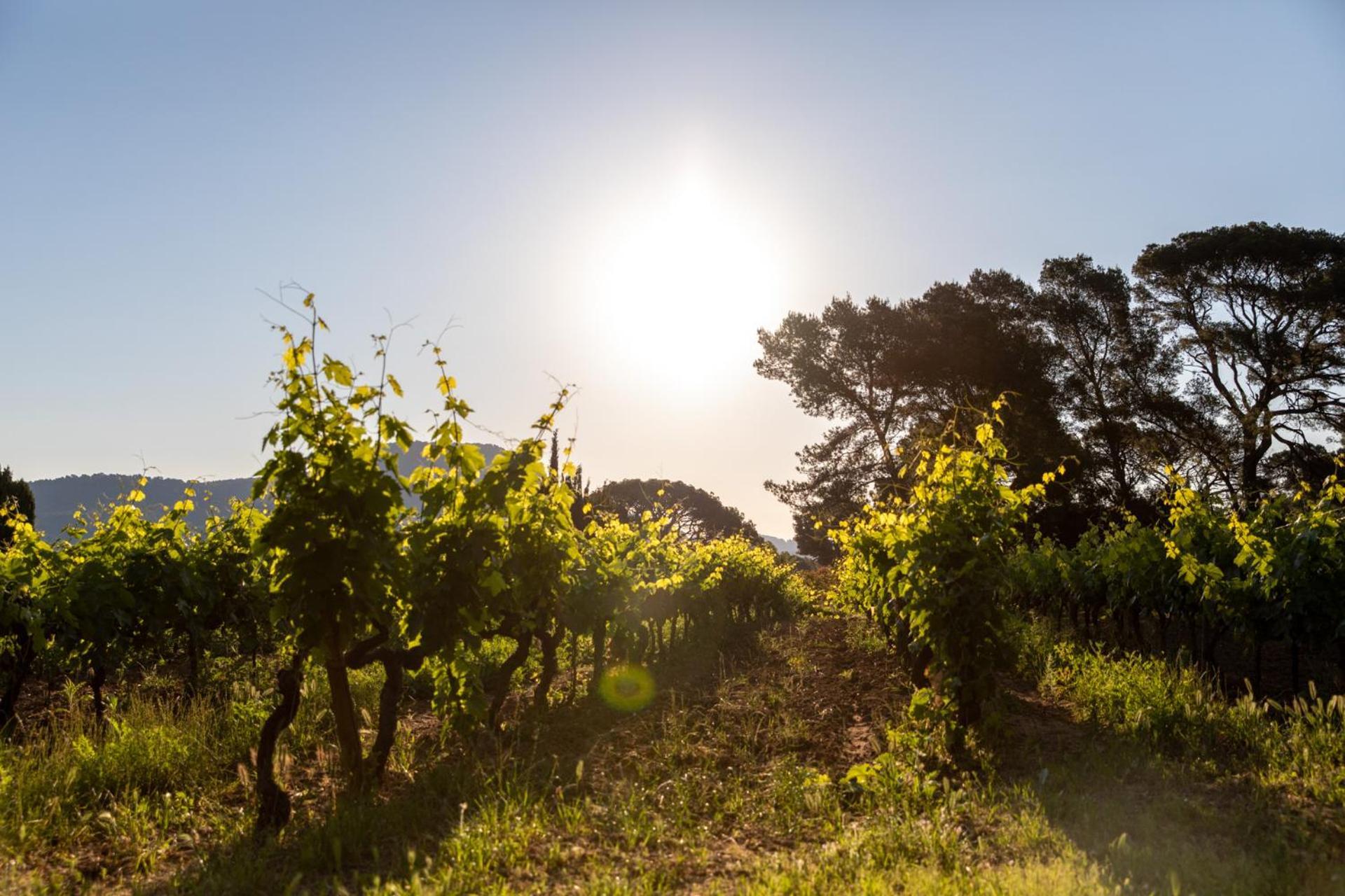 فيلا Domaine De La Navicelle لو براديت المظهر الخارجي الصورة