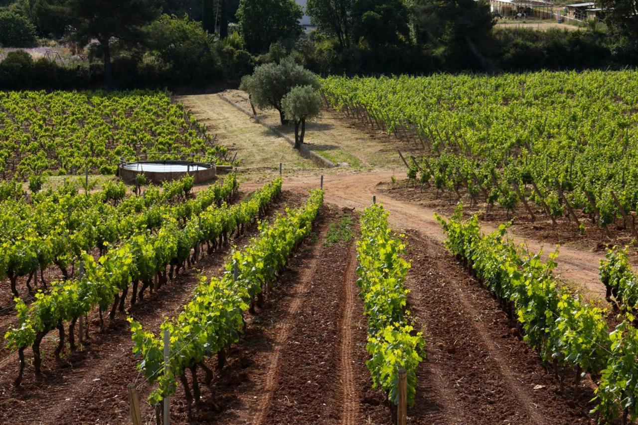 فيلا Domaine De La Navicelle لو براديت المظهر الخارجي الصورة
