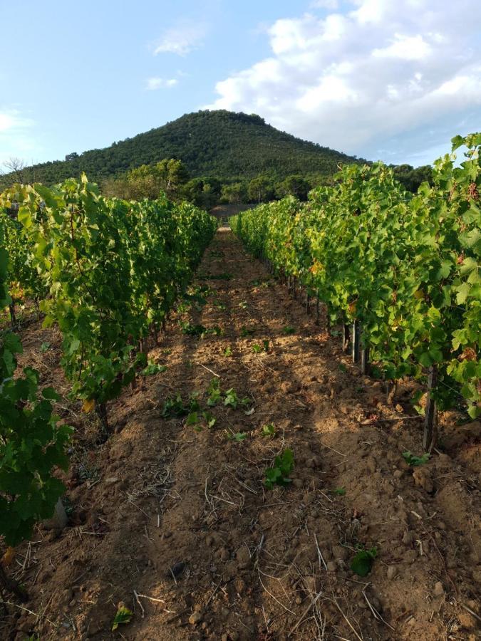 فيلا Domaine De La Navicelle لو براديت المظهر الخارجي الصورة