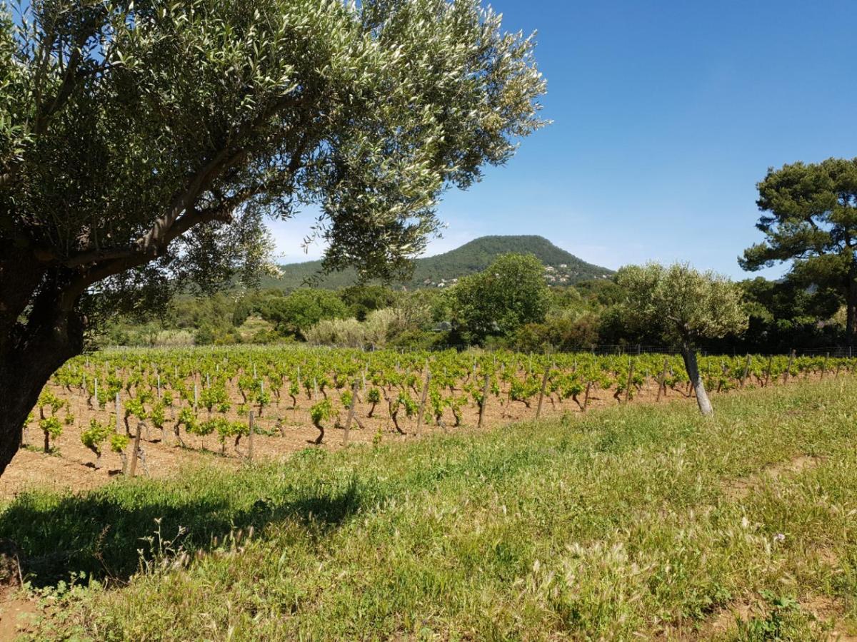 فيلا Domaine De La Navicelle لو براديت المظهر الخارجي الصورة